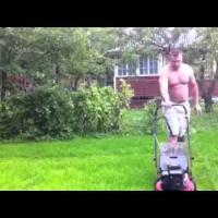 Стрижка газона