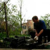 Многолетние цветы в саду