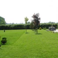 садовые газоны фото