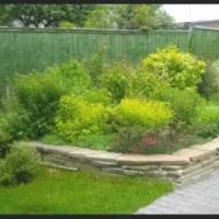 ПАЛИСАДНИК -Озеленение Киев ландшафтный дизайн