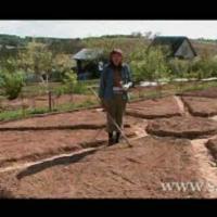 Как разнообразить обычные грядки.