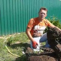 Топиари. Создание Зеленой скульптуры.