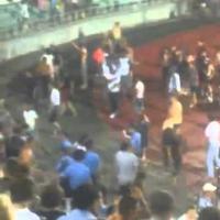 Болельщики Шахтера устроили беспорядки (online-football.com.ua)