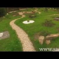 Японский сад